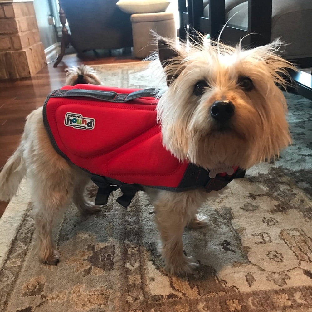 Dog life jacket